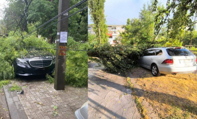 Dimineață cu ghinion pentru mai mulți șoferi din capitală. Unii arbori au căzut peste mașini din cauza vântului puternic - FOTO