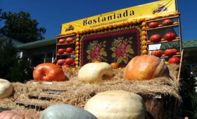 Bostaniada 2025: Festivalul dovleacului a adunat sute de vizitatori la Bălăbănești, unde un dovleac de 615 kg a fost vedeta zilei - VIDEO