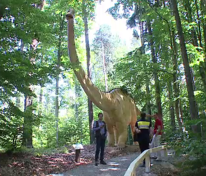 Dino Parc, primul parc de dinozauri din Romania, o investitie de 5 mil. de euro. Cat costa un bilet si care sunt atractiile Dino Parc, primul parc de dinozauri din Romania, o investitie de 5 mil. de euro. Cat costa un bilet si care sunt atractiile