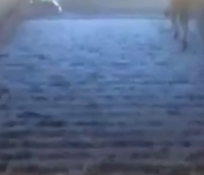 Suvoaie de apa au inundat complet metroul din Budapesta. Imagini filmate in timpul potopului venit dupa canicula Suvoaie de apa au inundat complet metroul din Budapesta. Imagini filmate in timpul potopului venit dupa canicula