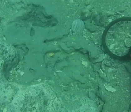 Un cuplu a gasit o comoara ingropata pe fundul marii timp de aproape 300 de ani. Cat valoreaza