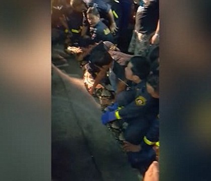 Un piton urias, lung de 8 metri, descoperit in spatele unui restaurant din Bangkok. 17 pompieri l-au carat pe brate. VIDEO Un piton urias, lung de 8 metri, descoperit in spatele unui restaurant din Bangkok. 17 pompieri l-au carat pe brate. VIDEO