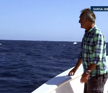 Surpriza uriasa pe care a avut-o un realizator BBC in timpul filmarii. Ce a aparut in spatele lui. VIDEO