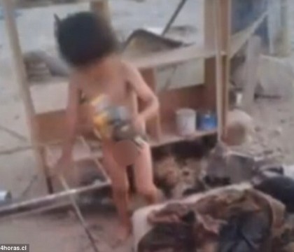 Copil de 2 ani, hranit de un caine dupa ce mama l-a abandonat. Cum l-au gasit autoritatile