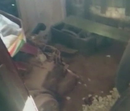 Caz incredibil in Argentina. Un barbat si-a tinut fiul si sotia intr-o cusca de lemn de la subsolul casei, timp de 6 ani Caz incredibil in Argentina. Un barbat si-a tinut fiul si sotia intr-o cusca de lemn de la subsolul casei, timp de 6 ani