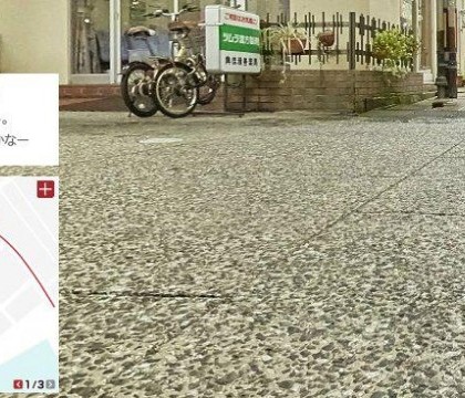 Japonia : A fost dezvoltata aplicatia Google Street View cu imagini din perspectiva unei pisici Japonia : A fost dezvoltata aplicatia Google Street View cu imagini din perspectiva unei pisici