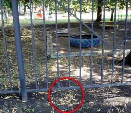 Doi baieti de cinci ani, din Rusia, au sapat un tunel sa fuga de la gradinita si sa cumpere un Jaguar Doi baieti de cinci ani, din Rusia, au sapat un tunel sa fuga de la gradinita si sa cumpere un Jaguar