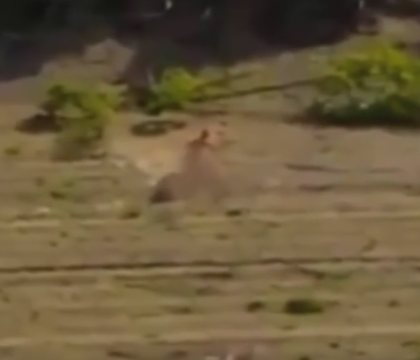 Surpriza "exploziva" de care au avut parte doi tineri care faceau sex in public, in fata mai multor oameni. VIDEO Surpriza "exploziva" de care au avut parte doi tineri care faceau sex in public, in fata mai multor oameni. VIDEO