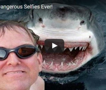 VIDEO. Fenomenul "selfie": de la arta la suicid VIDEO. Fenomenul "selfie": de la arta la suicid