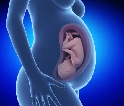 Premiera pentru Romania. 7 specialisti au operat cu succes, pe coloana vertebrala, un bebelus aflat inca in uterul mamei Premiera pentru Romania. 7 specialisti au operat cu succes, pe coloana vertebrala, un bebelus aflat inca in uterul mamei