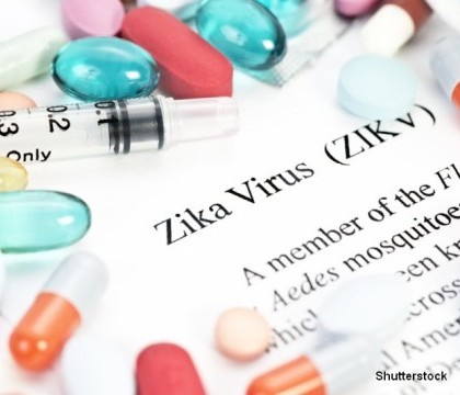 OMS avertizeaza Europa sa ia masuri impotriva Zika. Riscul de infectare va creste odata cu sosirea primaverii OMS avertizeaza Europa sa ia masuri impotriva Zika. Riscul de infectare va creste odata cu sosirea primaverii