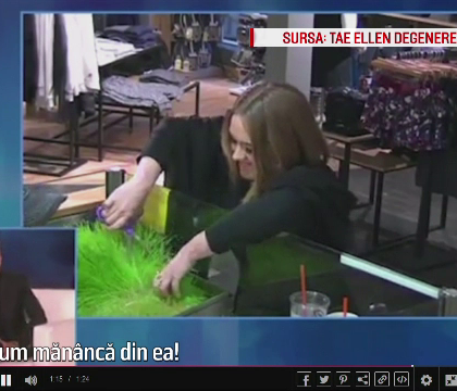 Adele a taiat iarba dintr-un ghiveci si a mancat-o. Farsa pusa la cale de cantareata si Ellen DeGeneres