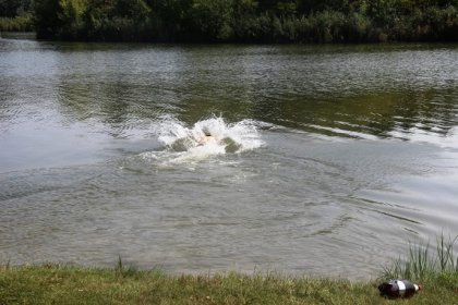 Inghititi de ape. Tragedie la Sangerei si pe lacul Valea Morilor din capitala Inghititi de ape. Tragedie la Sangerei si pe lacul Valea Morilor din capitala