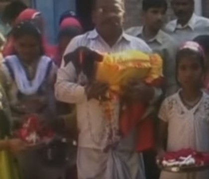 Nunta la care au participat 5000 de persoane in India. "Mirele" a fost cel care a atras toata atentia - VIDEO Nunta la care au participat 5000 de persoane in India. "Mirele" a fost cel care a atras toata atentia - VIDEO