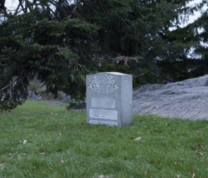 Mormantul care a aparut peste noapte in Central Park din New York. Ce au vazut oamenii cand au mers mai aproape Mormantul care a aparut peste noapte in Central Park din New York. Ce au vazut oamenii cand au mers mai aproape