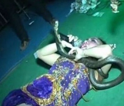 O cantareata a murit pe scena, in timpul concertului, dupa ce a fost muscata de o cobra - VIDEO O cantareata a murit pe scena, in timpul concertului, dupa ce a fost muscata de o cobra - VIDEO
