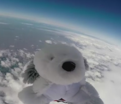 Catel de plus, trimis in stratosfera de elevii unei scoli primare din UK. Recompensa pentru cel care gaseste jucaria pierduta - VIDEO 