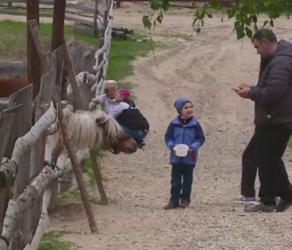 Romanul care si-a facut propria gradina zoologica, la Cluj. Ce animale creste pe o suprafata de 10 hectare Romanul care si-a facut propria gradina zoologica, la Cluj. Ce animale creste pe o suprafata de 10 hectare