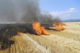 COD GALBEN emis de catre meteorologi. Avertizare pentru pericole exceptionale de incendiu COD GALBEN emis de catre meteorologi. Avertizare pentru pericole exceptionale de incendiu