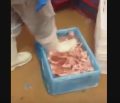 Inregistrare revoltatoare. Angajatii unei fabrici dezgheata carnea de pui cu PICIOARELE. VIDEO Inregistrare revoltatoare. Angajatii unei fabrici dezgheata carnea de pui cu PICIOARELE. VIDEO