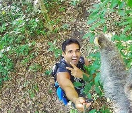 Selfie cu lenesul. Fotografia realizata de un tanar aflat in vacanta a ajuns viral pe internet Selfie cu lenesul. Fotografia realizata de un tanar aflat in vacanta a ajuns viral pe internet