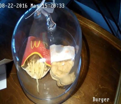 Cum arata ultimul hamburger cumparat de la McDonald\'s in Islanda, in 2009. Curiosii pot urmari live transformarea