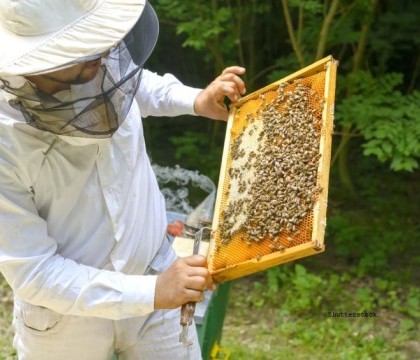 Au vrut sa previna raspandirea virusul Zika, dar a avut loc o tragedie. Ce s-a intamplat dupa ce au pulverizat un insecticid Au vrut sa previna raspandirea virusul Zika, dar a avut loc o tragedie. Ce s-a intamplat dupa ce au pulverizat un insecticid