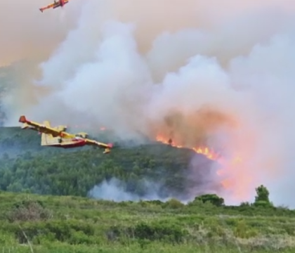 Incendii uriase de vegetatie in Europa. Trei oameni au murit pe insula portugheza Madeira