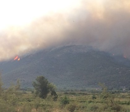 Grecia a instituit stare de urgenta in insula Thasos din cauza incendiilor de vegetatie