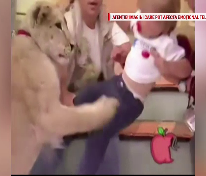Un leu s-a repezit in direct la o fetita, in timpul unei emisiuni tv. Scenele cumplite care au urmat. VIDEO