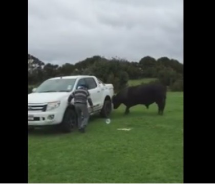 Scene de groaza pentru un tanar, care isi filmeaza tatal de 81 de ani incercand sa alunge un taur: "Tata, nu fii tampit!" Scene de groaza pentru un tanar, care isi filmeaza tatal de 81 de ani incercand sa alunge un taur: "Tata, nu fii tampit!"