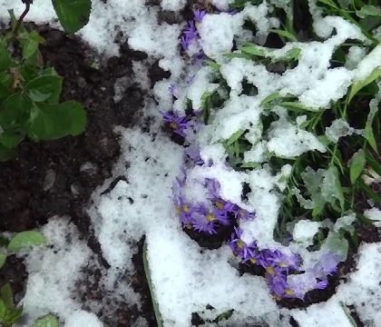 Locul din Romania unde stratul de zapada a ajuns intr-o zi la 15 cm si a acoperit drumul Locul din Romania unde stratul de zapada a ajuns intr-o zi la 15 cm si a acoperit drumul