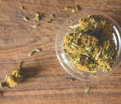 Marijuana, "marea castigatoare" in seara alegerilor pentru Casa Alba. Florida a legalizat consumul in scopuri medicinale Marijuana, "marea castigatoare" in seara alegerilor pentru Casa Alba. Florida a legalizat consumul in scopuri medicinale