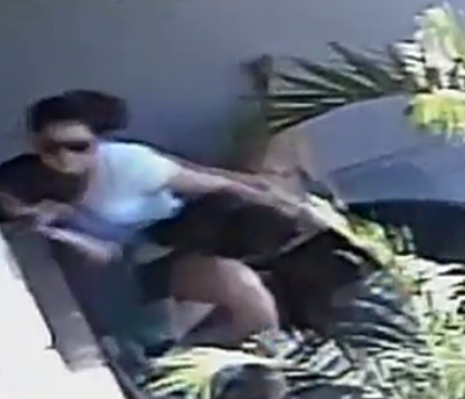 Momente terifiante pentru o mama si fiul ei de 2 ani, atacati de 2 caini in fata casei. Imaginile surprinse de camera Momente terifiante pentru o mama si fiul ei de 2 ani, atacati de 2 caini in fata casei. Imaginile surprinse de camera