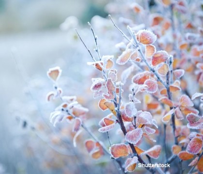 Temperaturi de -34 grade in Kazahstan, in acest week-end. La inceputul lunii, in regiune erau +30 de grade Celsius