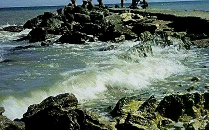 Ce a filmat un barbat din Constanta in Marea Neagra: "Un monstru marin, la cativa pasi de mine..." Ce a filmat un barbat din Constanta in Marea Neagra: "Un monstru marin, la cativa pasi de mine..."