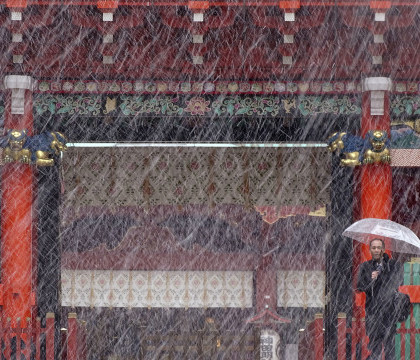 Tokyo, acoperit de zapada in luna noiembrie, pentru prima data in ultimii 54 de ani. Ninsoarea a dat peste cap traficul