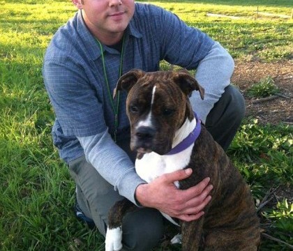 Un caine si-a luat "ramas bun" de la stapanul sau aflat pe moarte, la spital. Clipul a strans peste 8 milioane de vizualizari Un caine si-a luat "ramas bun" de la stapanul sau aflat pe moarte, la spital. Clipul a strans peste 8 milioane de vizualizari