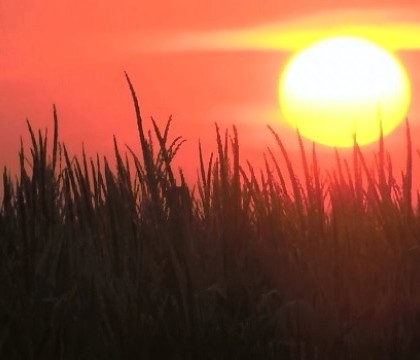 2016, un an de recorduri nedorite in ceea ce priveste clima. Cum au contribuit oamenii la efectele devastatoare