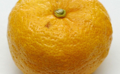 Yuzu, "super fructul" care ar putea inlocui portocalele. Ce gust are