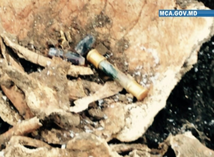Descoperire istorica in timpul reabilitarii sistemului de irigare din Ungheni. Ce au gasit specialistii printre sapaturi