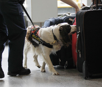 Autogara inchisa si mai multe strazi evacuate, la Londra, dupa gasirea unui pachet suspect