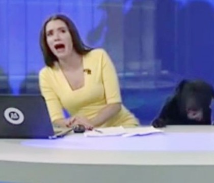O prezentatoare TV a fost in pragul unui infarct, in direct. Un caine urias si negru a aparut langa ea, la pupitru. VIDEO O prezentatoare TV a fost in pragul unui infarct, in direct. Un caine urias si negru a aparut langa ea, la pupitru. VIDEO