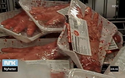 Gluma proasta de Halloween a unui lant de magazine: "maini" taiate si puse in frigidere