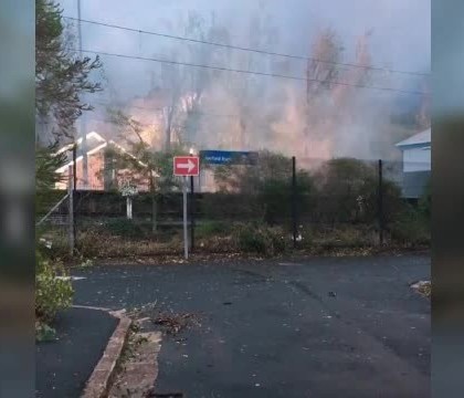 O femeie din Razeni a murit din cauza gripei: "Rudele au sunat la Urgenta, insa nicio ambulanta nu a venit" O femeie din Razeni a murit din cauza gripei: "Rudele au sunat la Urgenta, insa nicio ambulanta nu a venit"