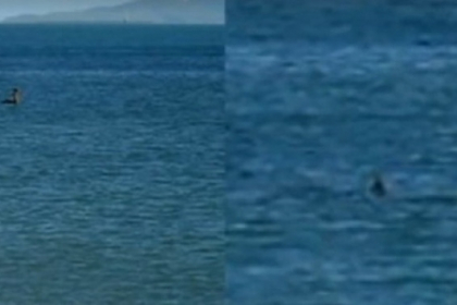 Monstrul din Loch Ness ar fi fost zarit in Australia. "Avea cam patru metri, m-am speriat" Monstrul din Loch Ness ar fi fost zarit in Australia. "Avea cam patru metri, m-am speriat"