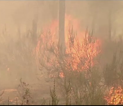 Incendii de vegetatie in sudul Spaniei. Peste 1.500 de persoane au primit ordin de evacuare Incendii de vegetatie in sudul Spaniei. Peste 1.500 de persoane au primit ordin de evacuare