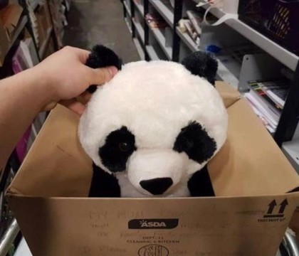 A dorit un urs panda de plus, insa mama sa nu si l-a putut permite. Mesajul scris de baiat i-a impresionat pe angajati A dorit un urs panda de plus, insa mama sa nu si l-a putut permite. Mesajul scris de baiat i-a impresionat pe angajati