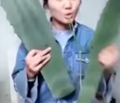 A transmis LIVE momentul care era sa ii aduca moartea. A crezut ca are in mana aloe vera. VIDEO A transmis LIVE momentul care era sa ii aduca moartea. A crezut ca are in mana aloe vera. VIDEO
