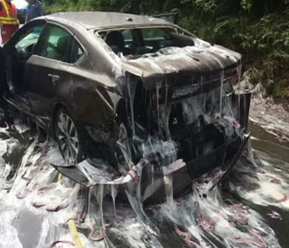 Un camion plin cu tipari s-a rasturnat pe o sosea din SUA. Pompierii au avut de curatat mazga alba secretata de pesti